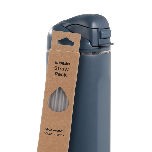 Ease2o Straws 4 Pack 24oz W2